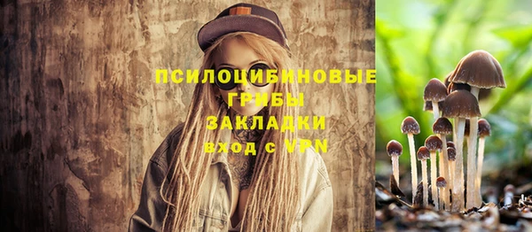 таблы Алексеевка