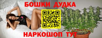 стаф Гусиноозёрск