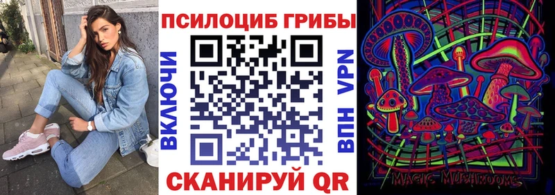купить наркотик  Красногорск  Галлюциногенные грибы GOLDEN TEACHER 