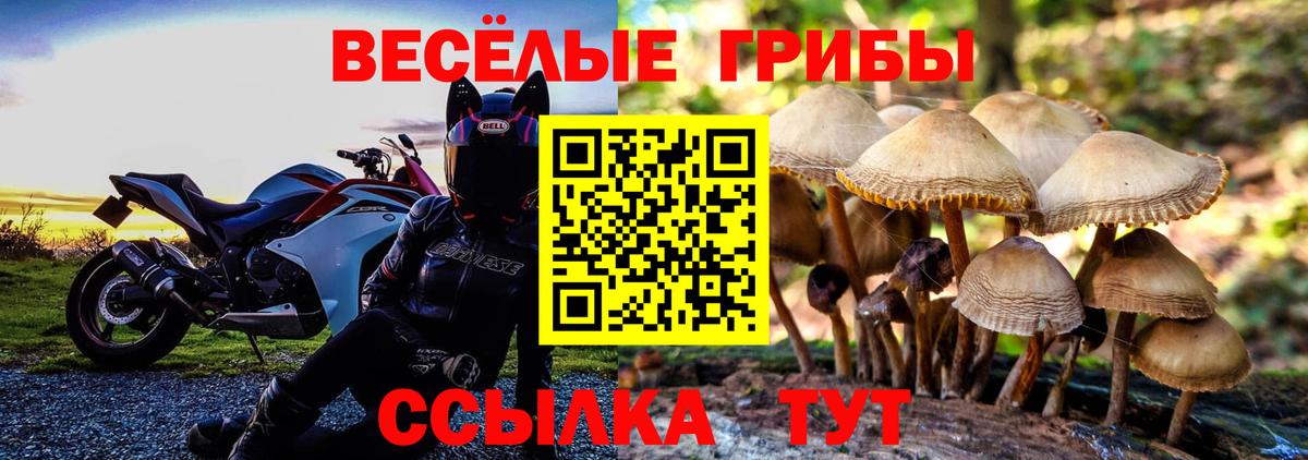 Красногорск  Псилоцибиновые грибы Psilocybe  где можно купить   Вход с VPN 