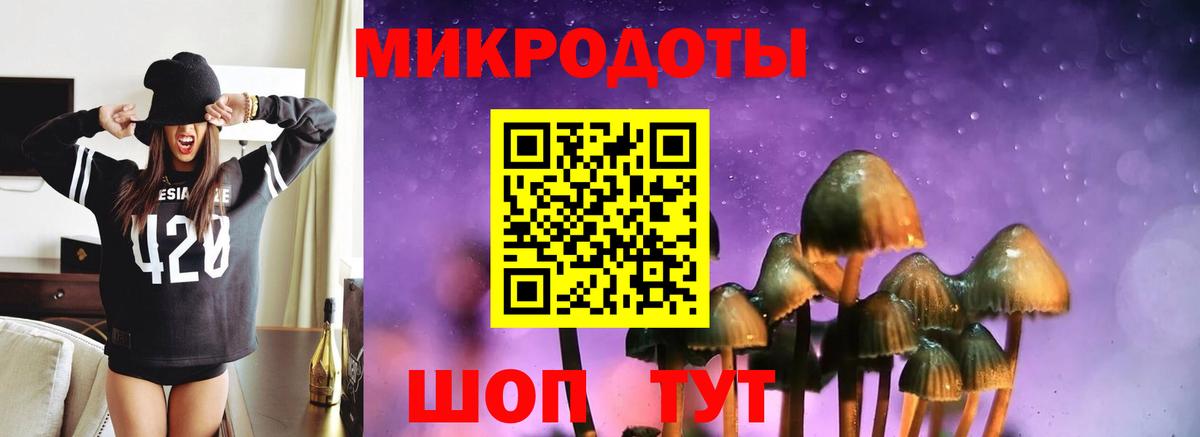 Галлюциногенные грибы Cubensis Красногорск