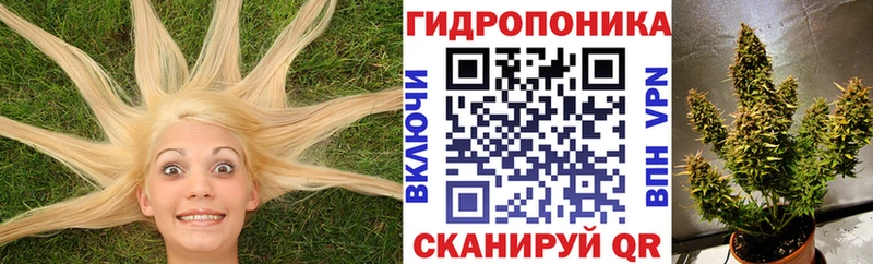 Канабис White Widow  Красногорск 